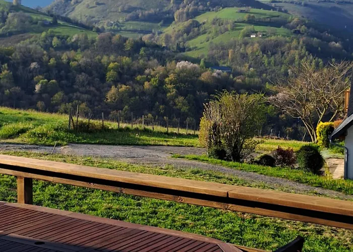 Dans Les Hautes- Pyrenees Entre Lourdes Et Bagneres Calme Et Vue Magnifique